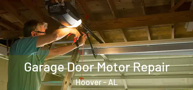  Garage Door Motor Repair Hoover - AL