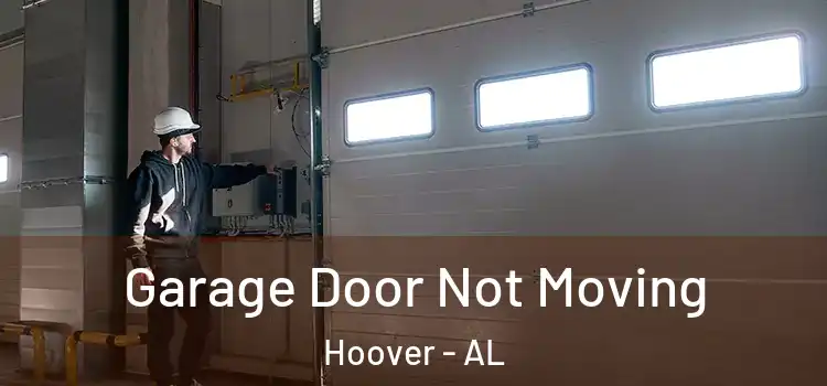  Garage Door Not Moving Hoover - AL