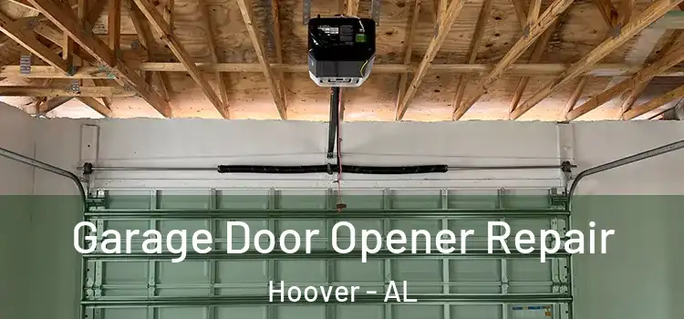  Garage Door Opener Repair Hoover - AL