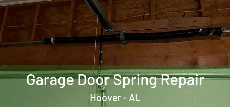  Garage Door Spring Repair Hoover - AL