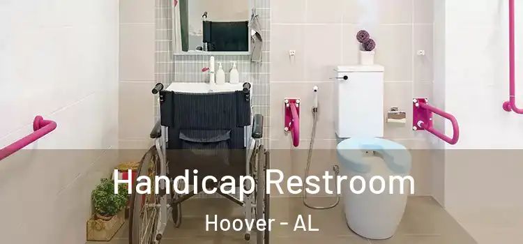  Handicap Restroom Hoover - AL