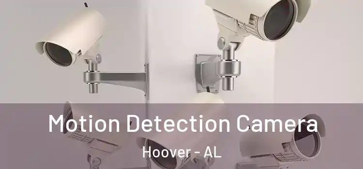  Motion Detection Camera Hoover - AL